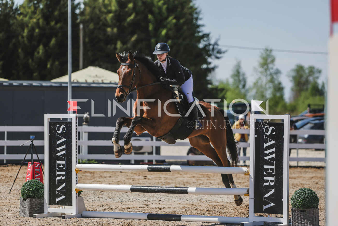 Gramina_Kevad_2026_90_444