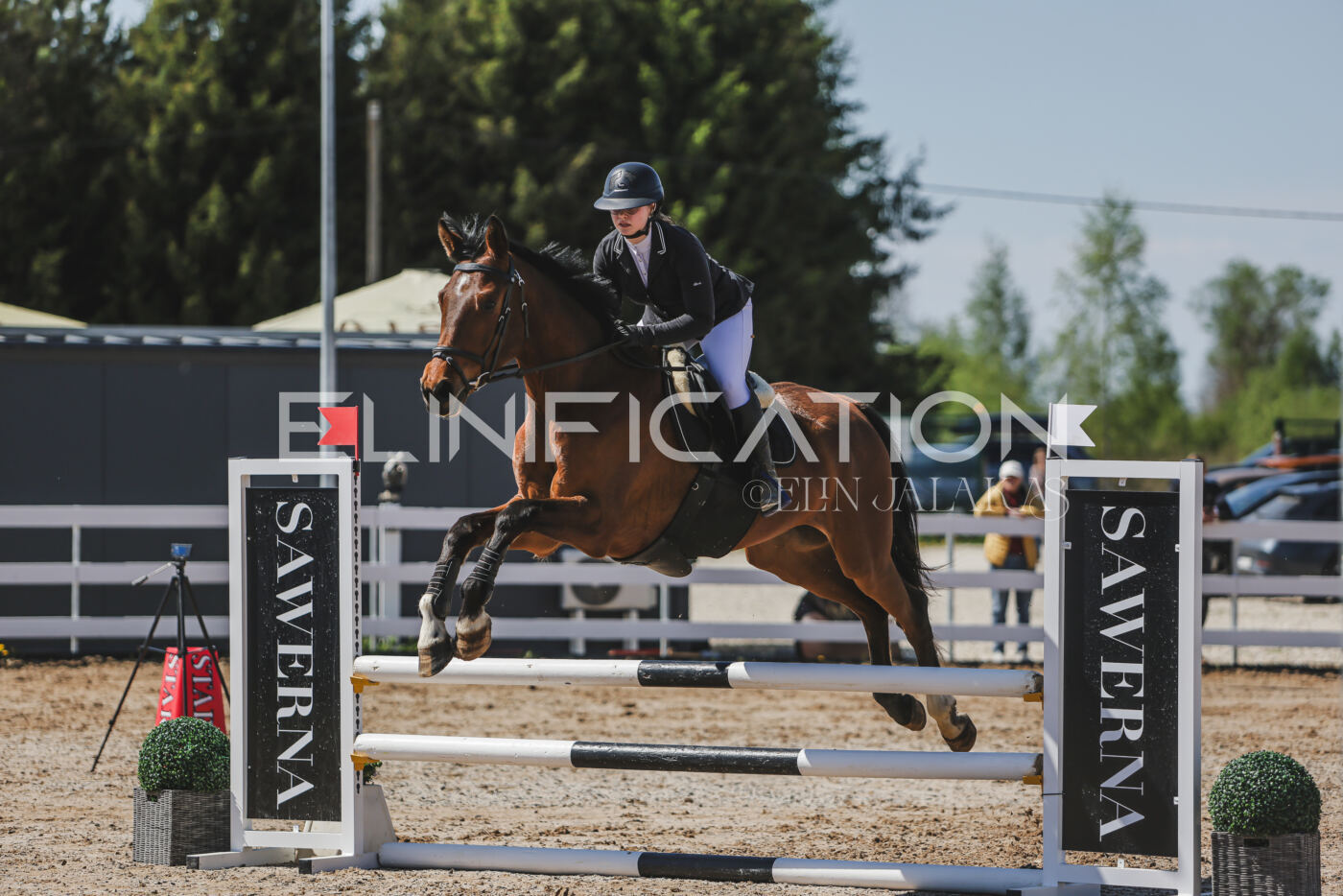 Gramina_Kevad_2026_90_445