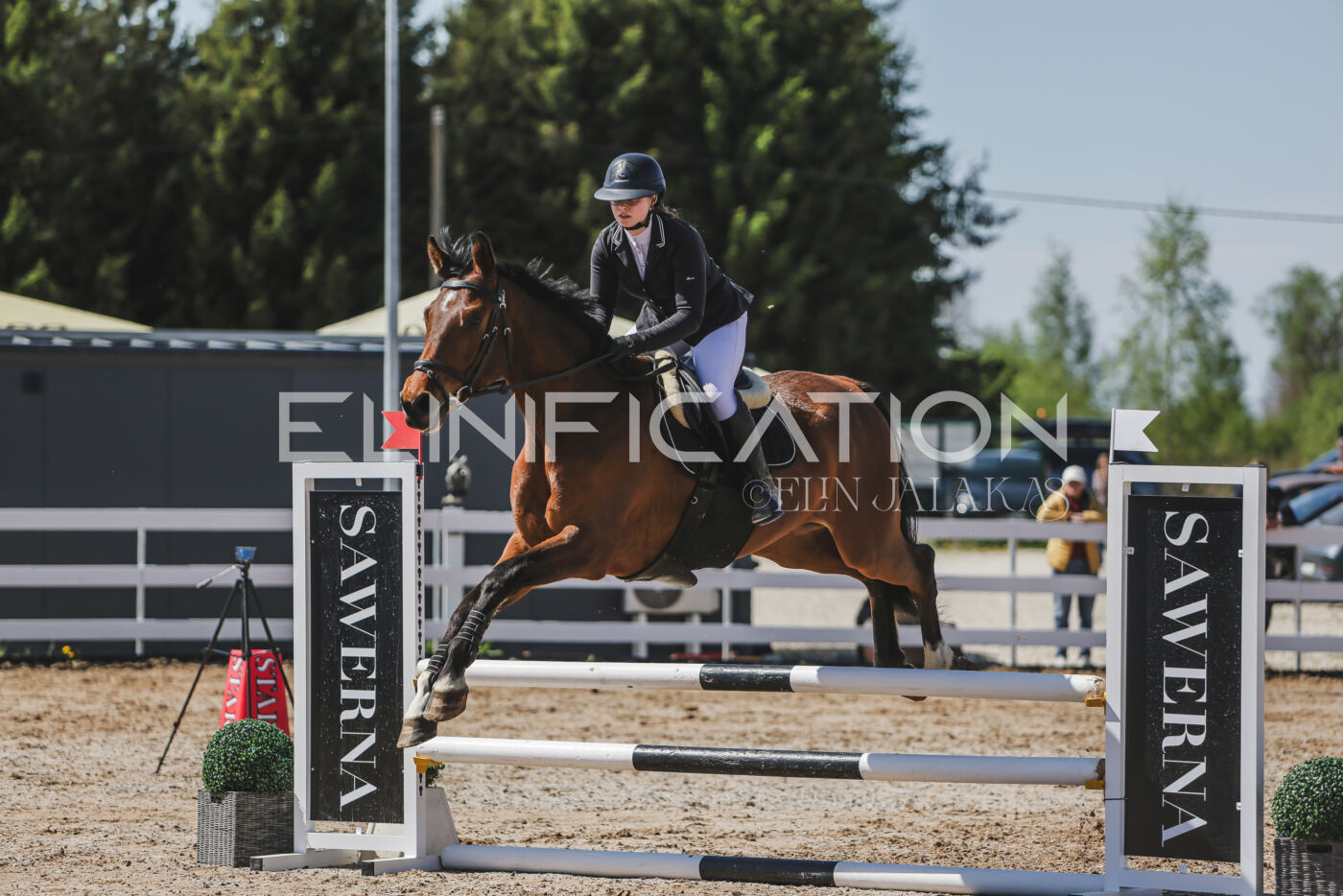 Gramina_Kevad_2026_90_446