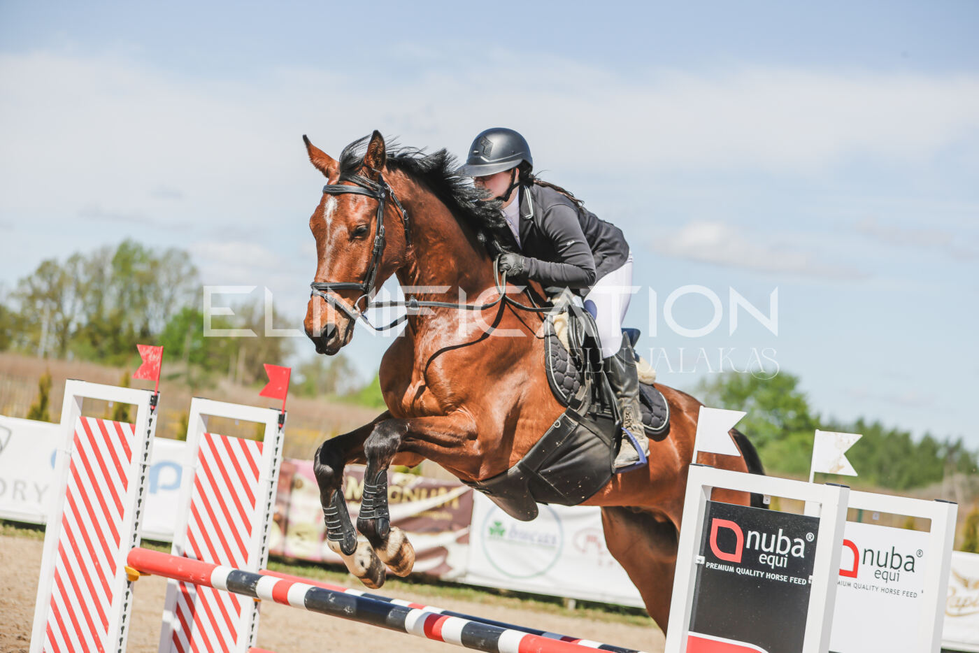 Gramina_Kevad_2026_90_447
