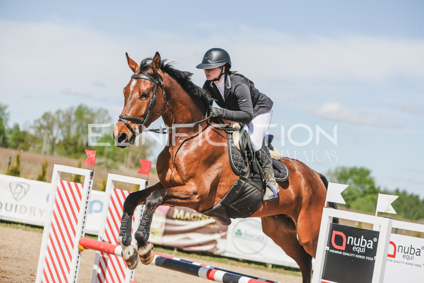 Gramina_Kevad_2026_90_448