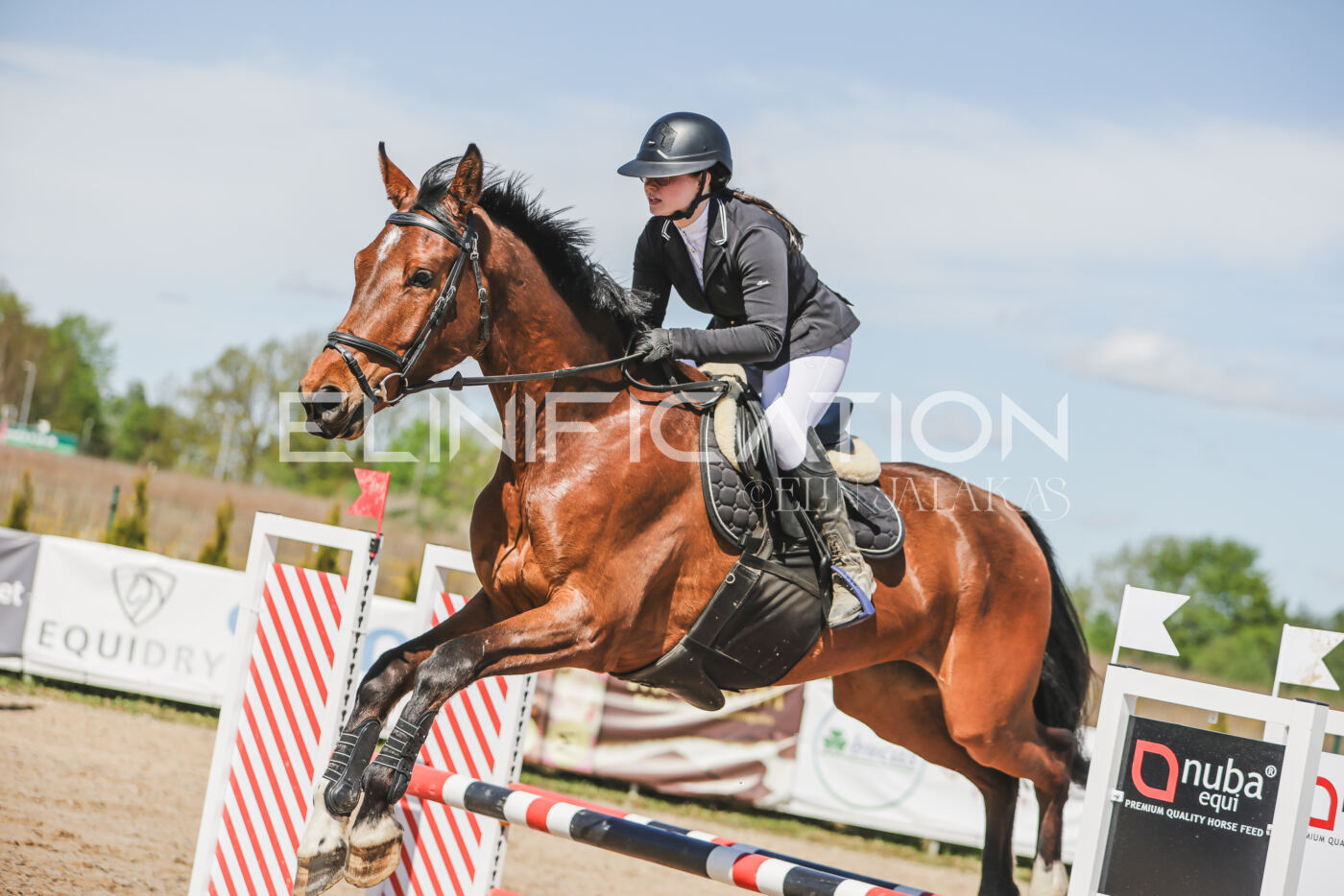 Gramina_Kevad_2026_90_449
