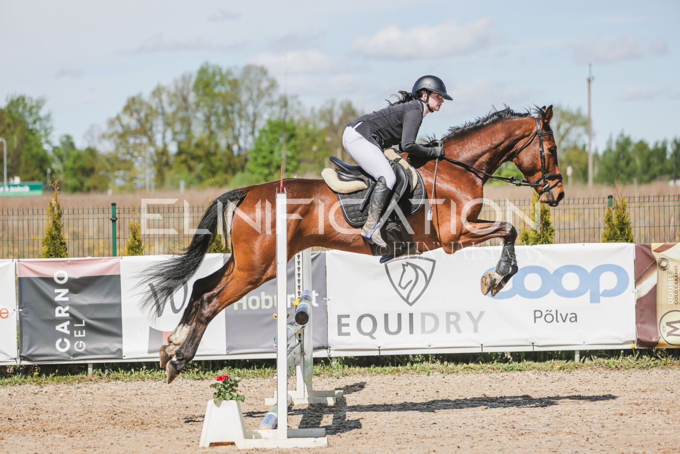 Gramina_Kevad_2026_90_451