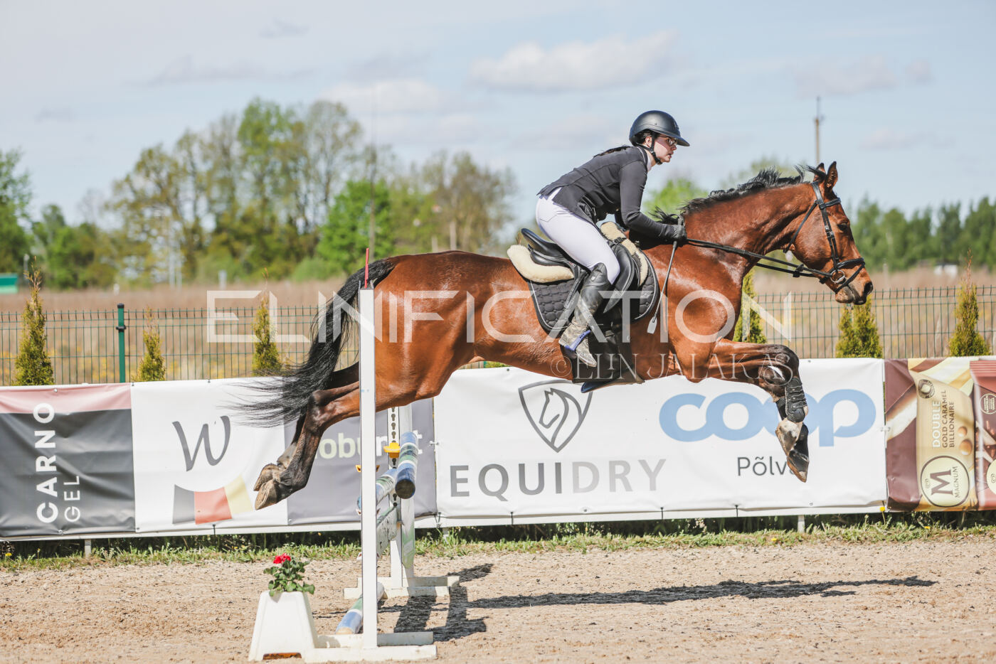 Gramina_Kevad_2026_90_452
