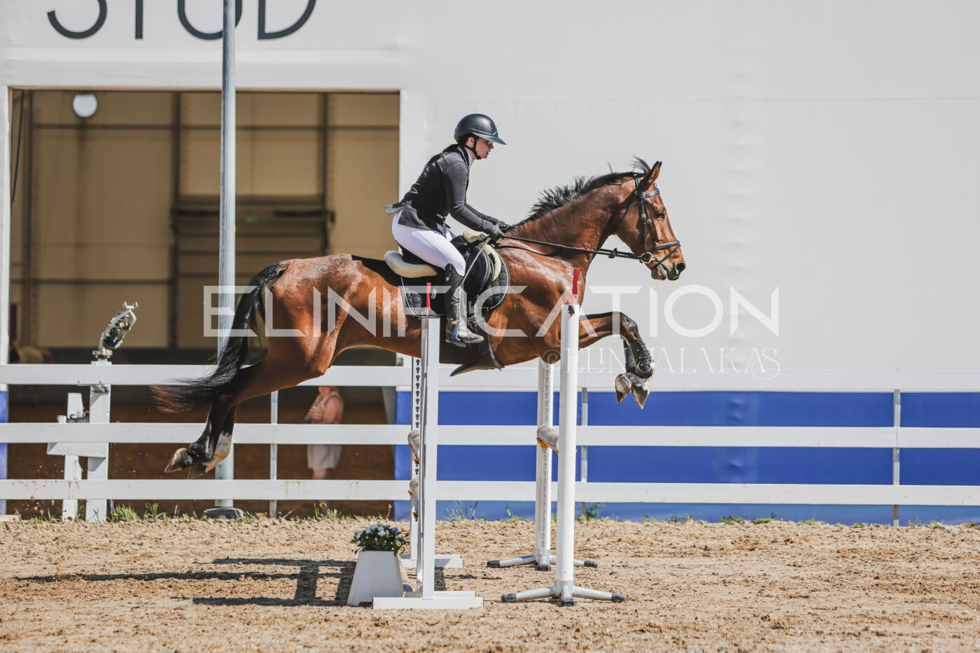 Gramina_Kevad_2026_90_453