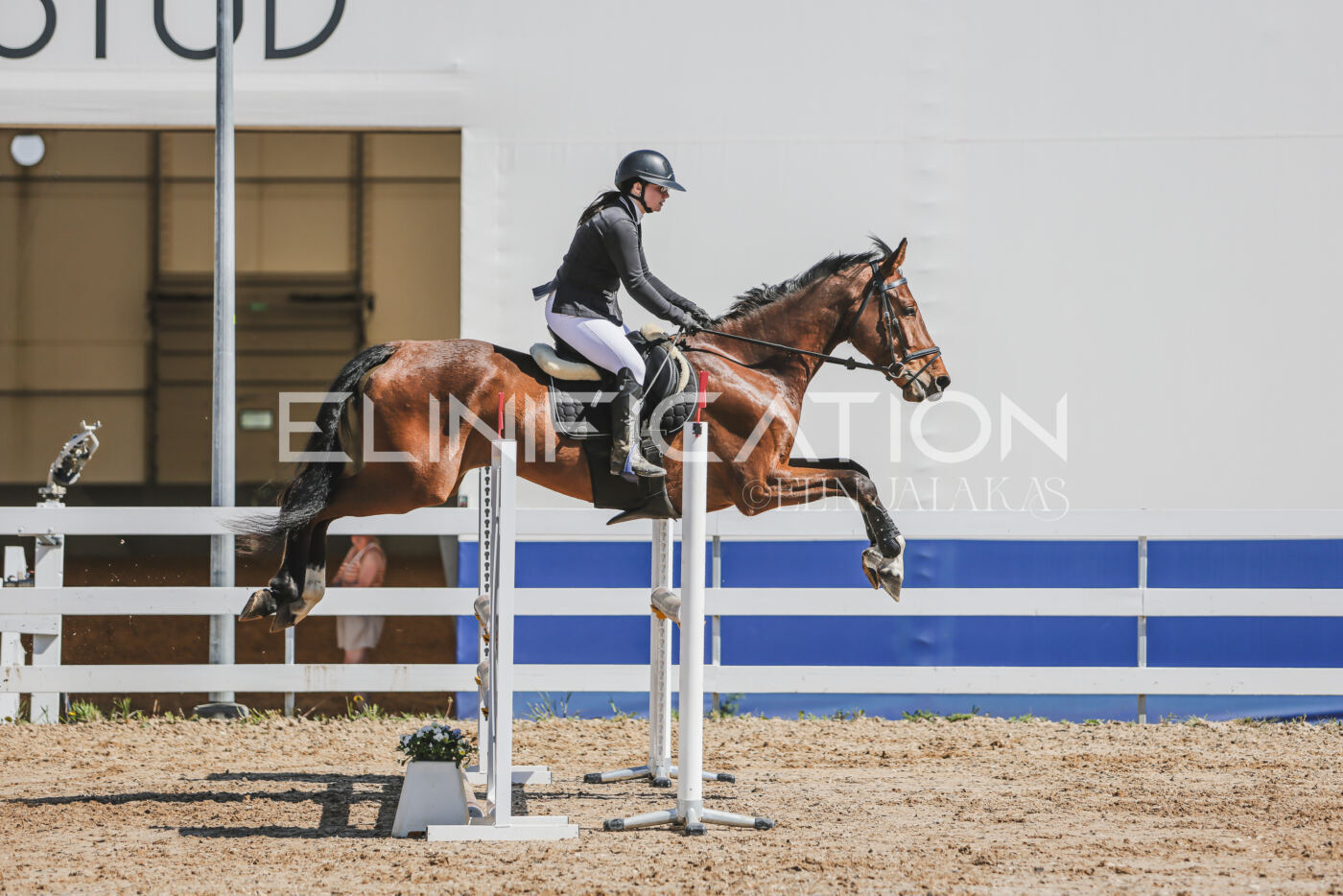 Gramina_Kevad_2026_90_454