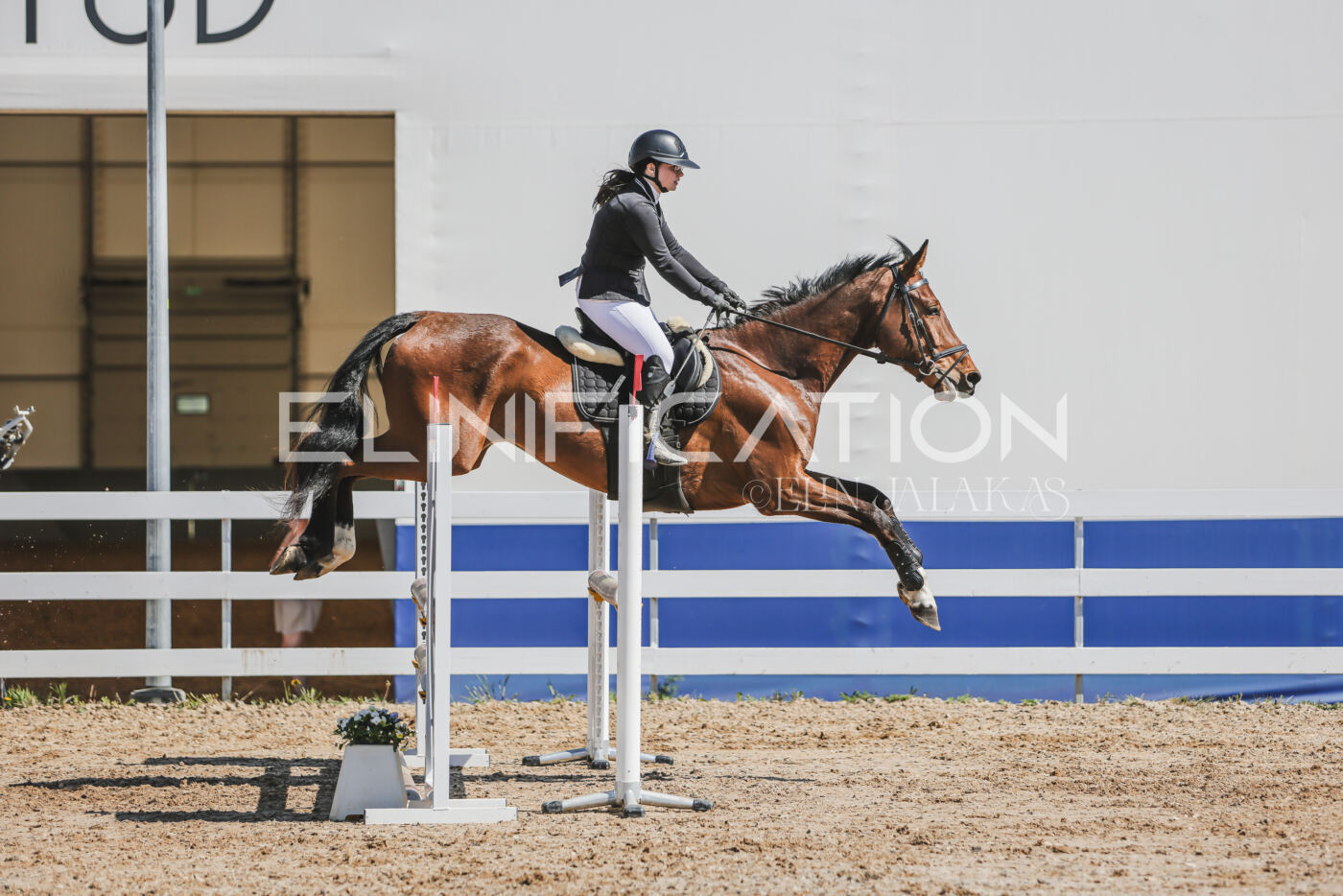 Gramina_Kevad_2026_90_455