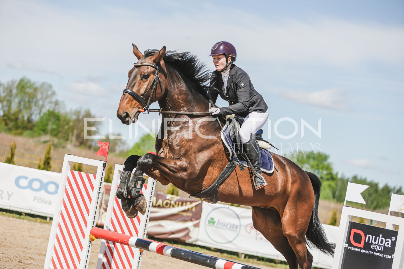 Gramina_Kevad_2026_90_466