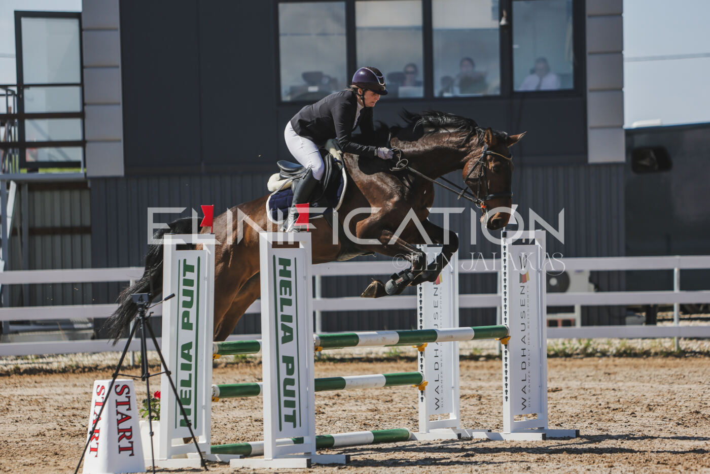 Gramina_Kevad_2026_90_468