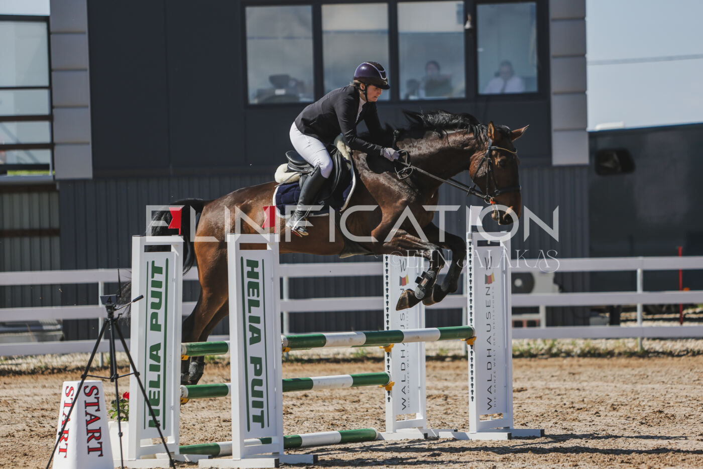 Gramina_Kevad_2026_90_469