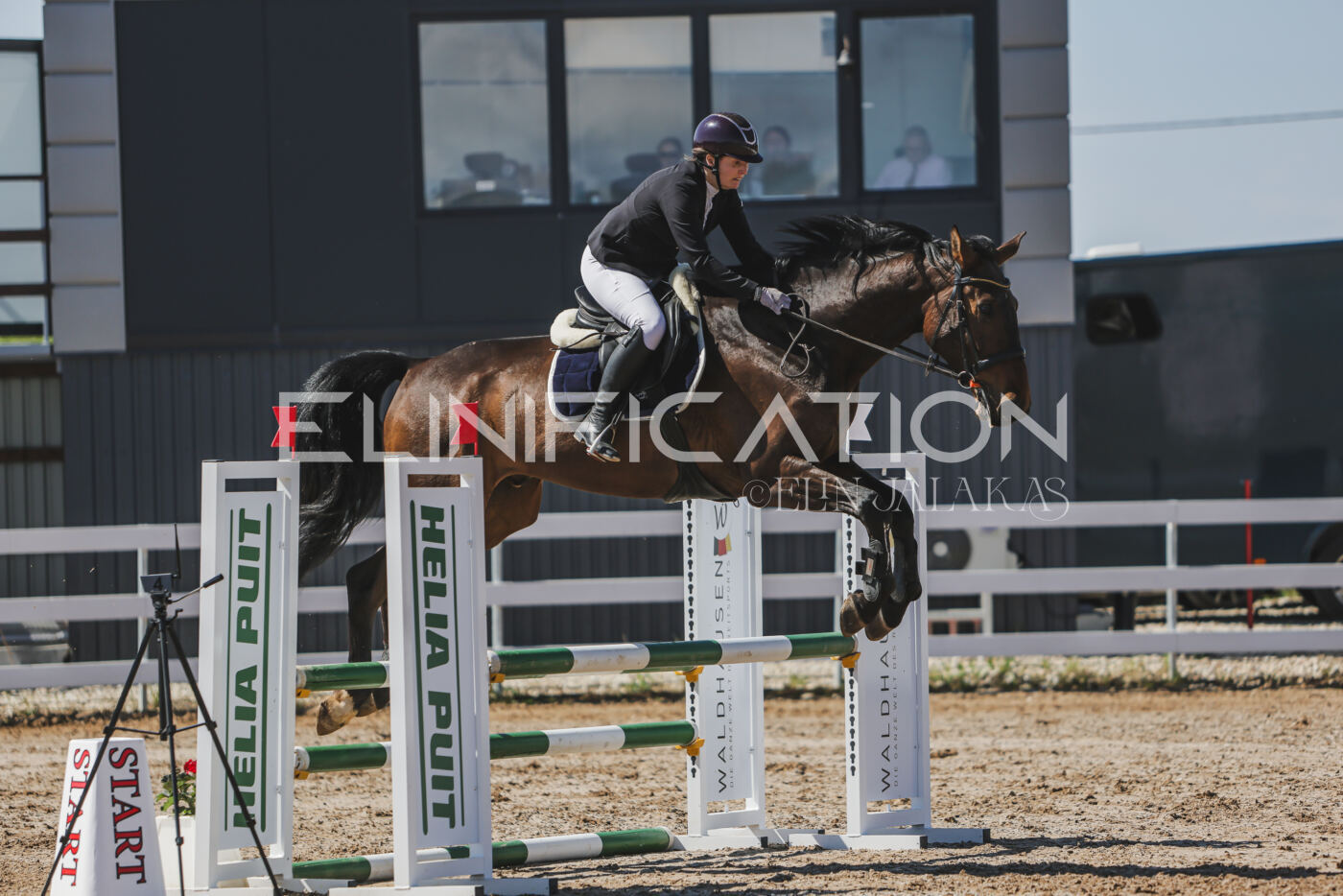Gramina_Kevad_2026_90_470