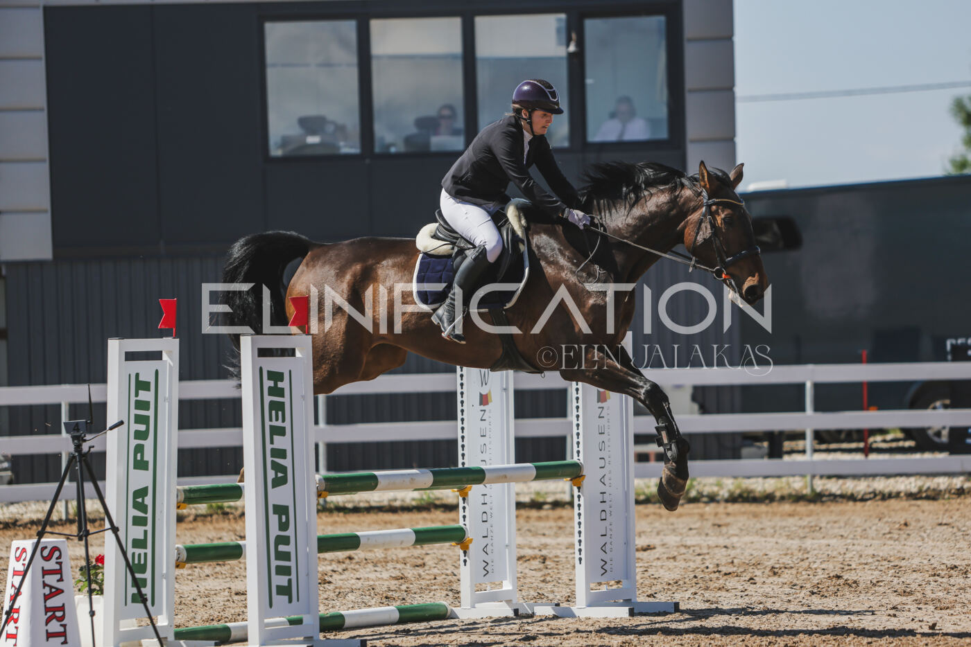 Gramina_Kevad_2026_90_471