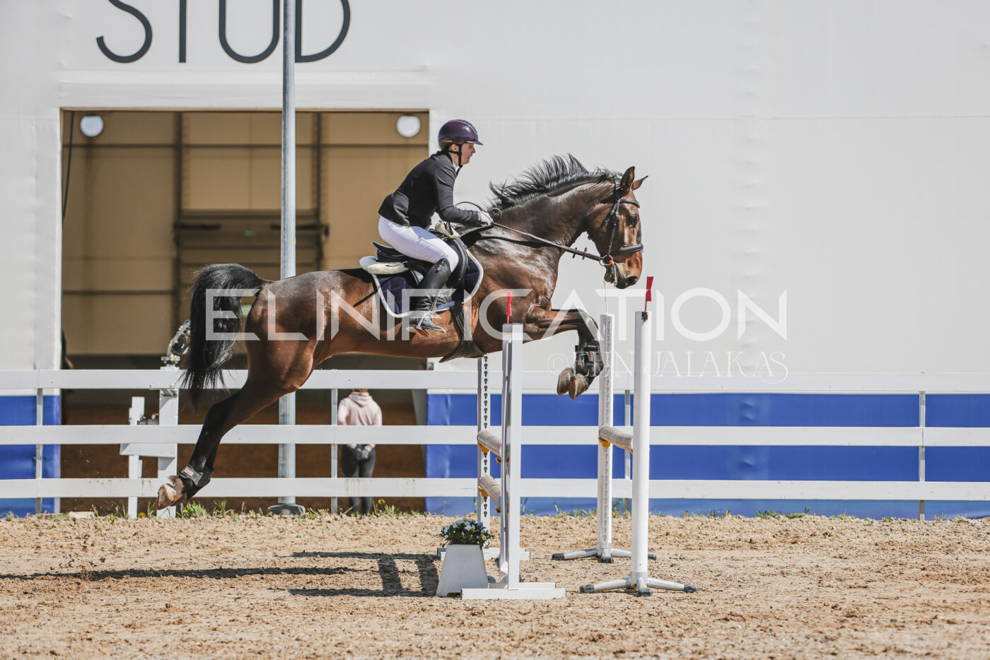 Gramina_Kevad_2026_90_478
