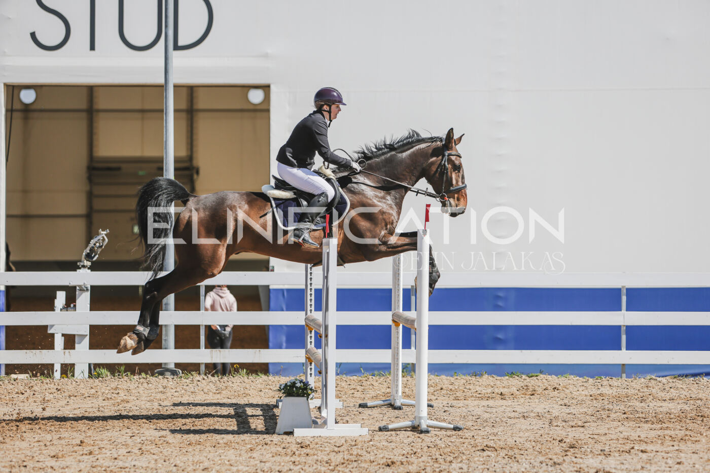 Gramina_Kevad_2026_90_479