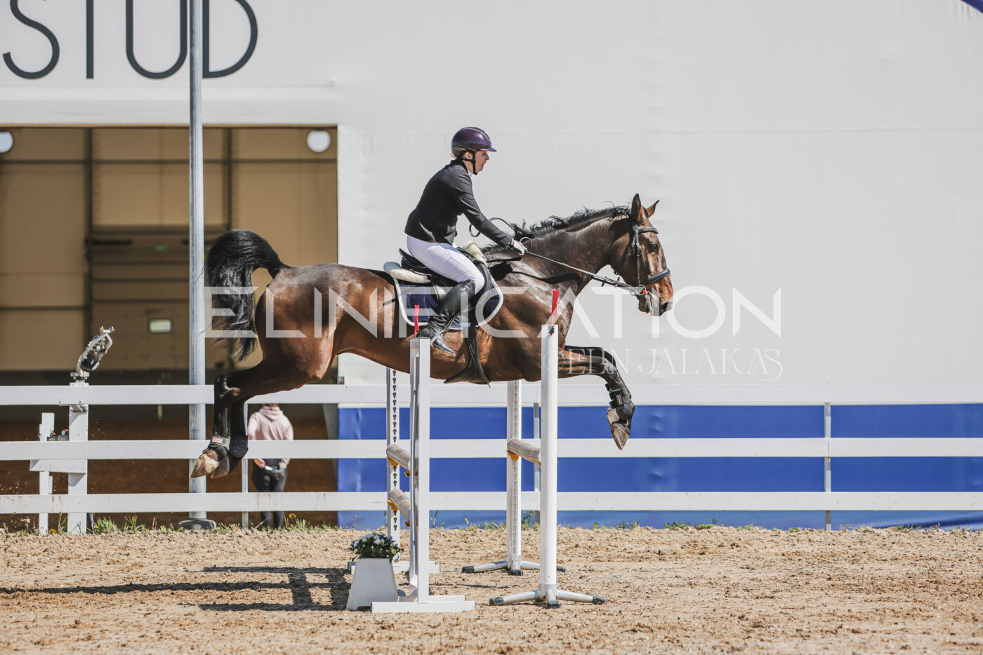 Gramina_Kevad_2026_90_480