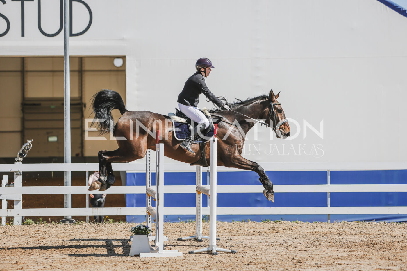 Gramina_Kevad_2026_90_481