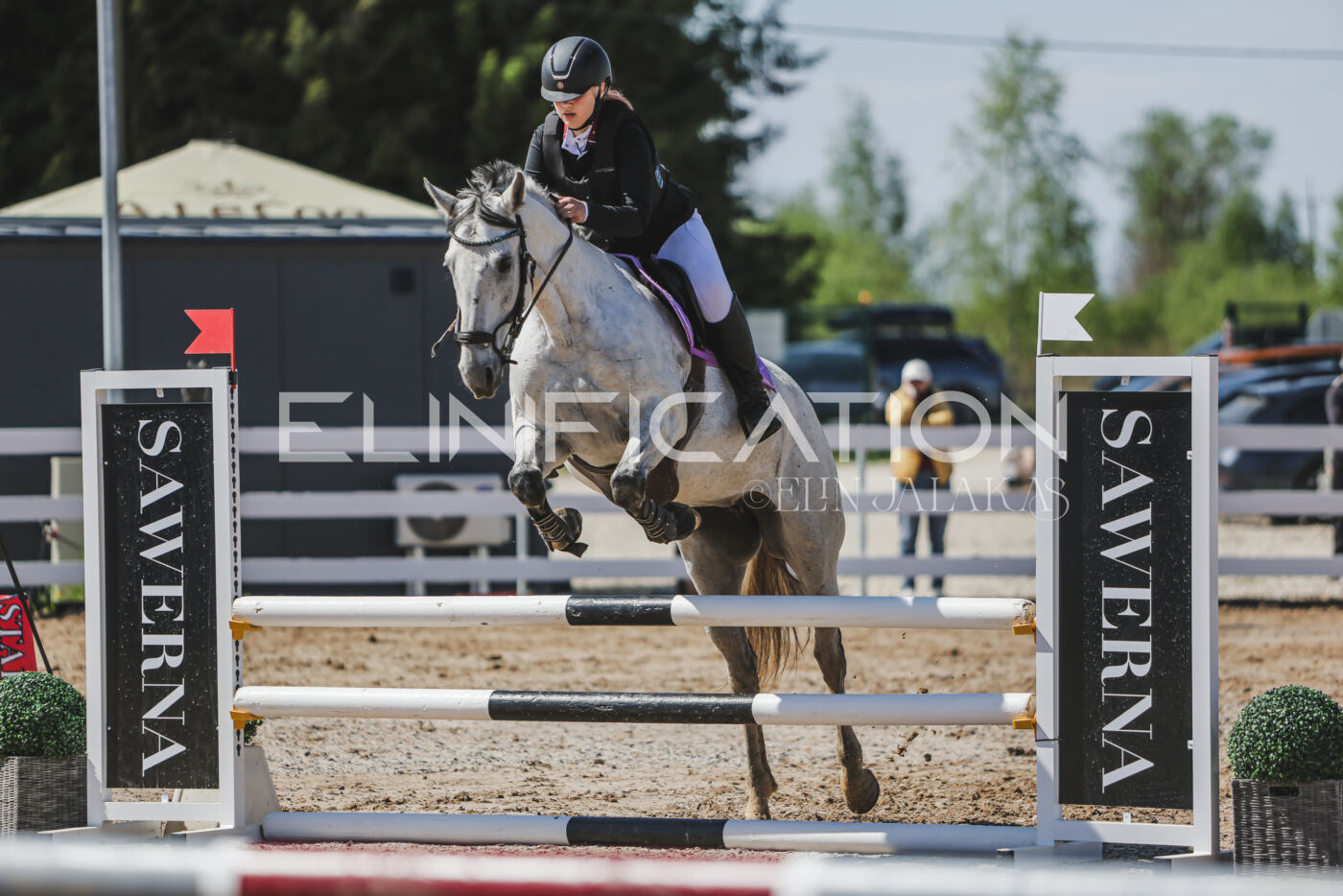 Gramina_Kevad_2026_90_483