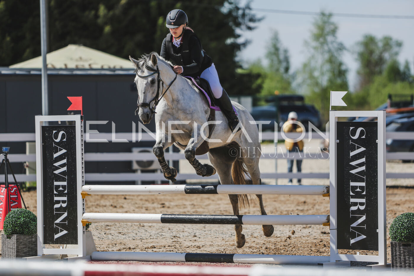 Gramina_Kevad_2026_90_484