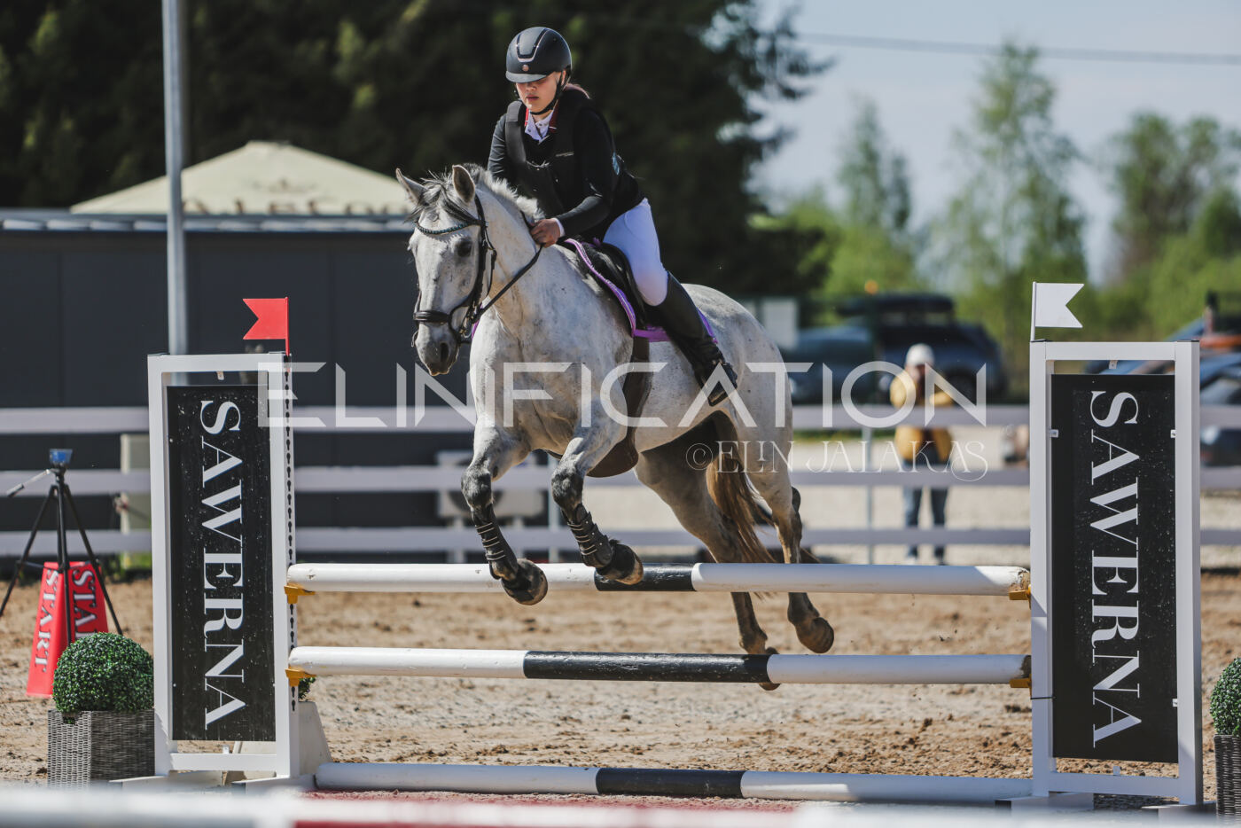 Gramina_Kevad_2026_90_485