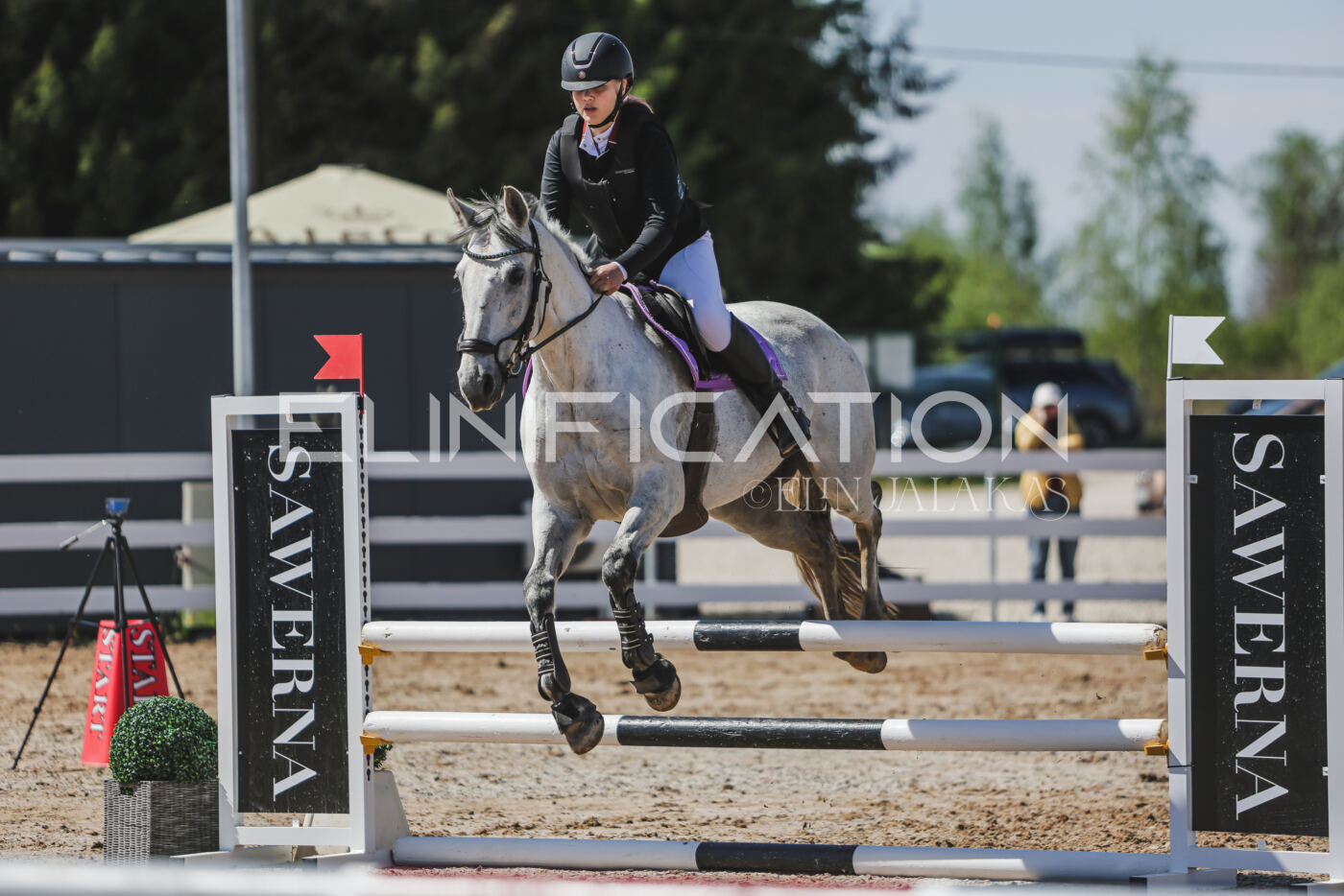 Gramina_Kevad_2026_90_486