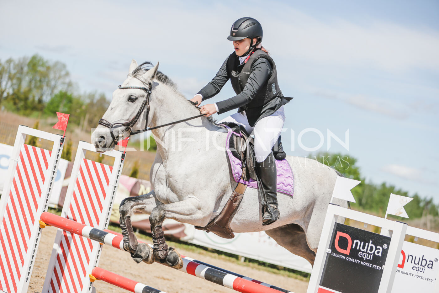 Gramina_Kevad_2026_90_488