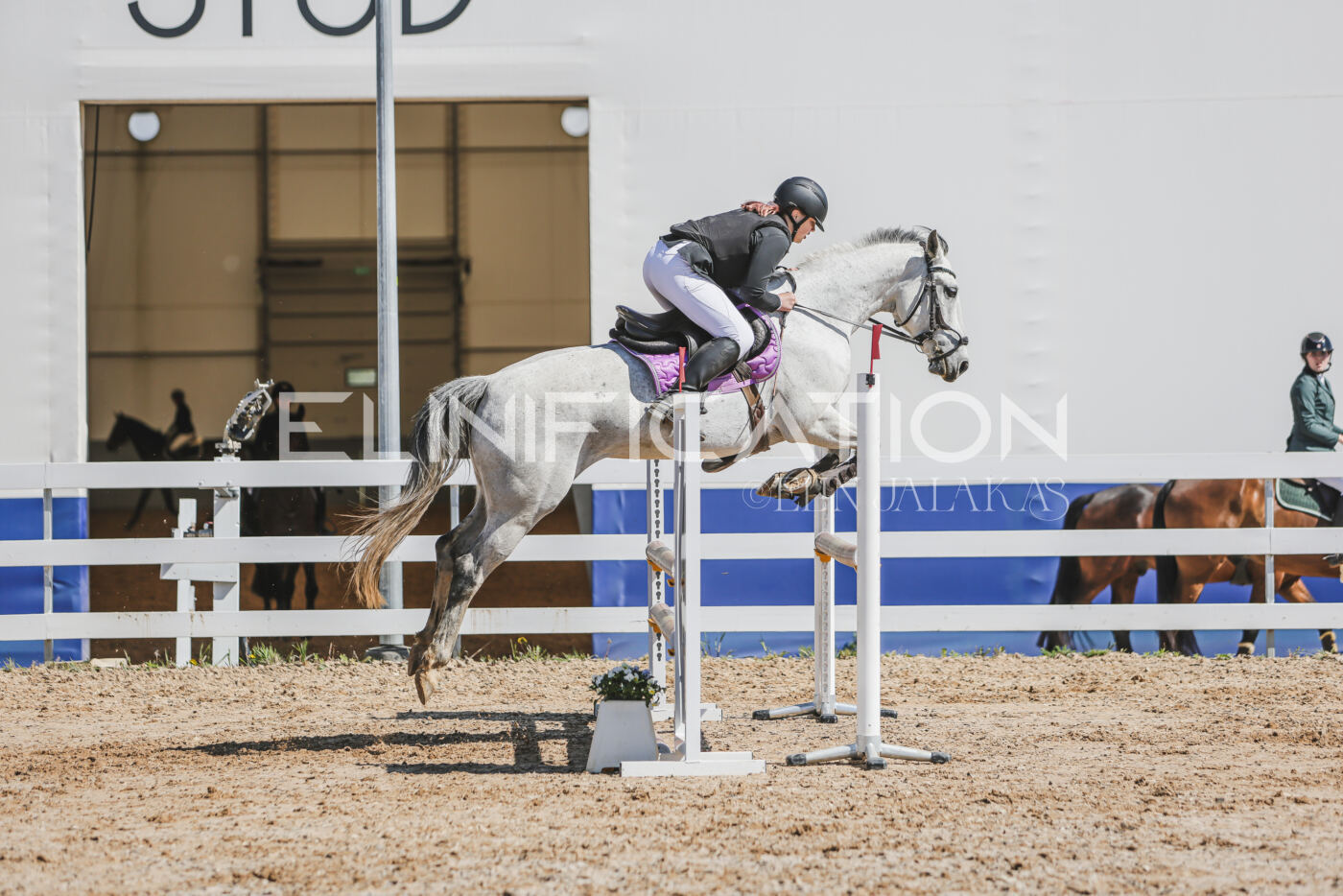 Gramina_Kevad_2026_90_495