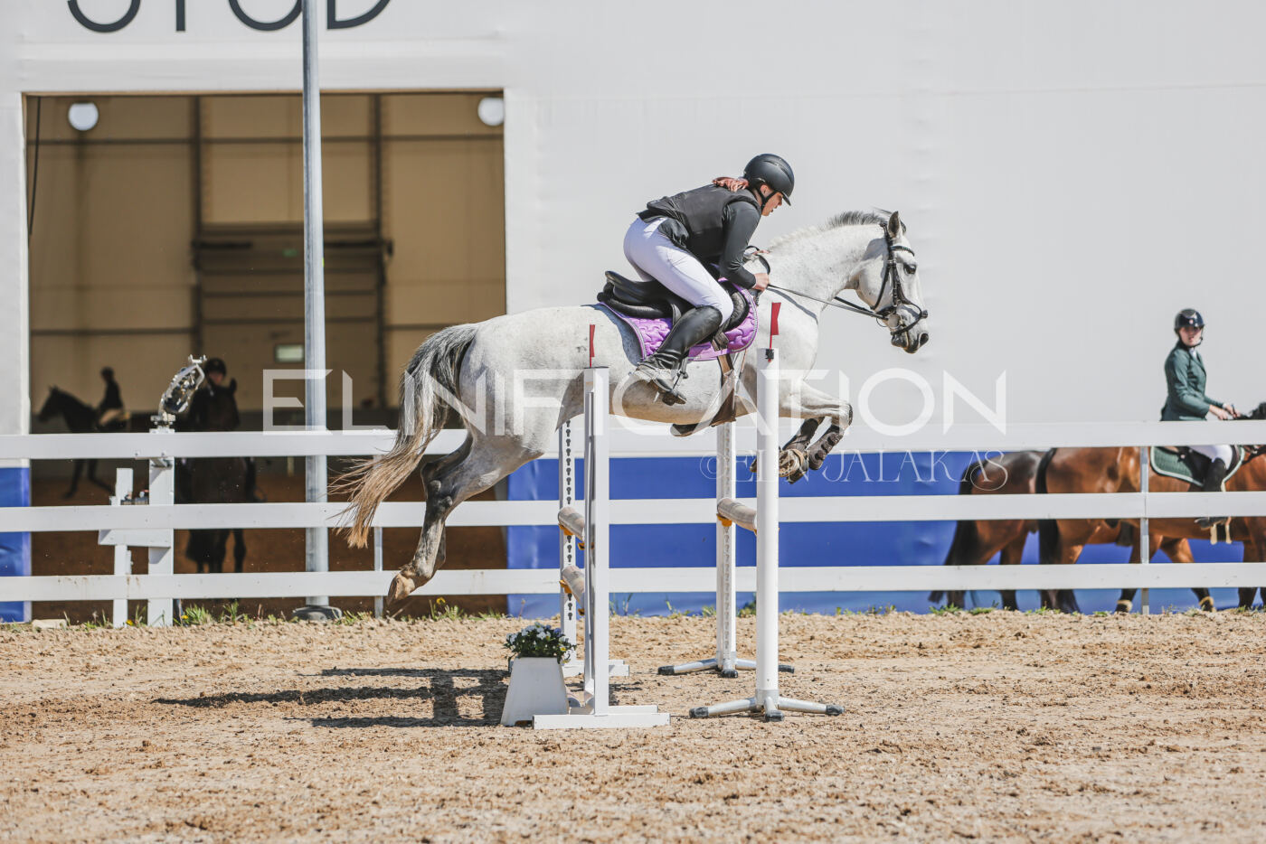 Gramina_Kevad_2026_90_496