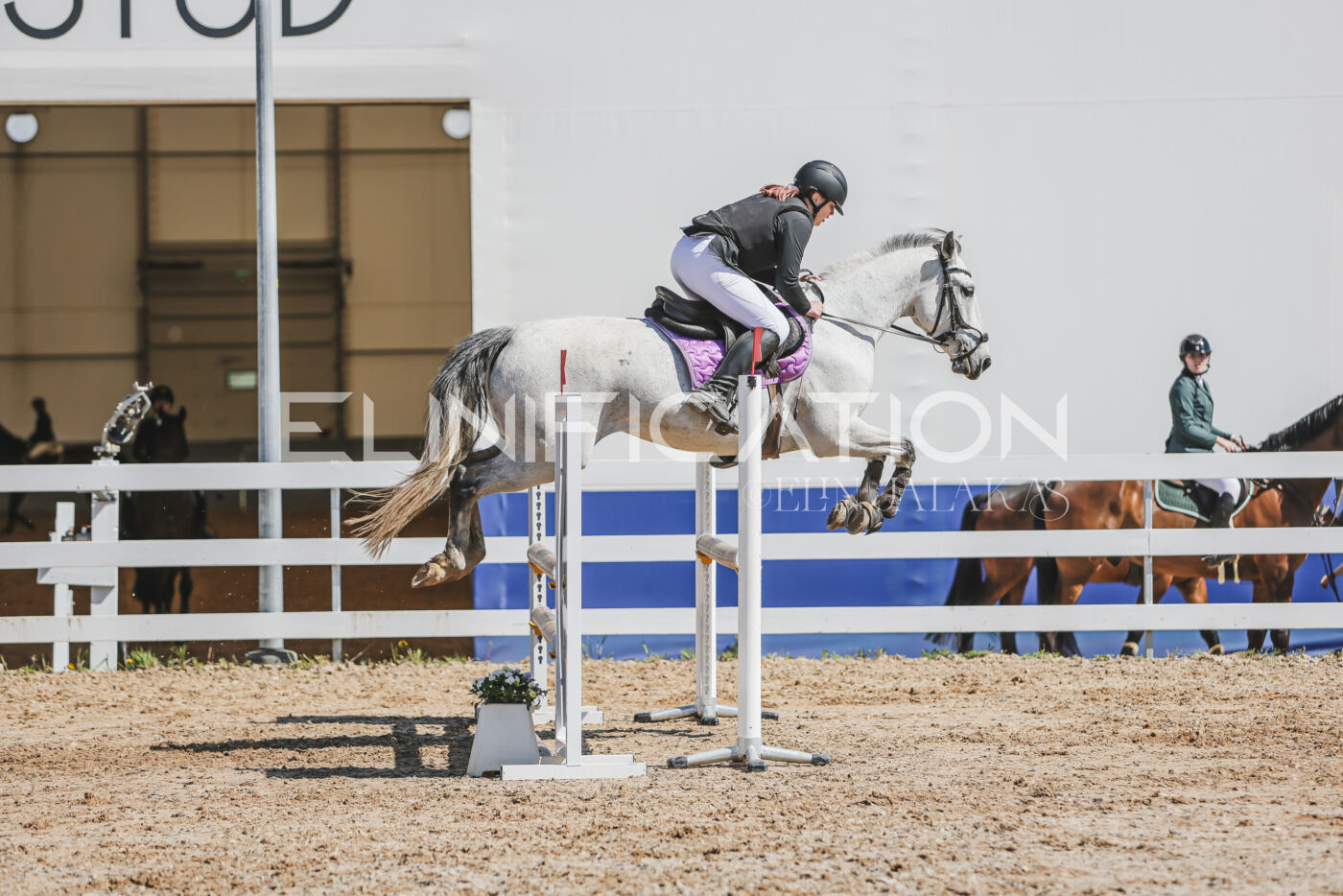 Gramina_Kevad_2026_90_497