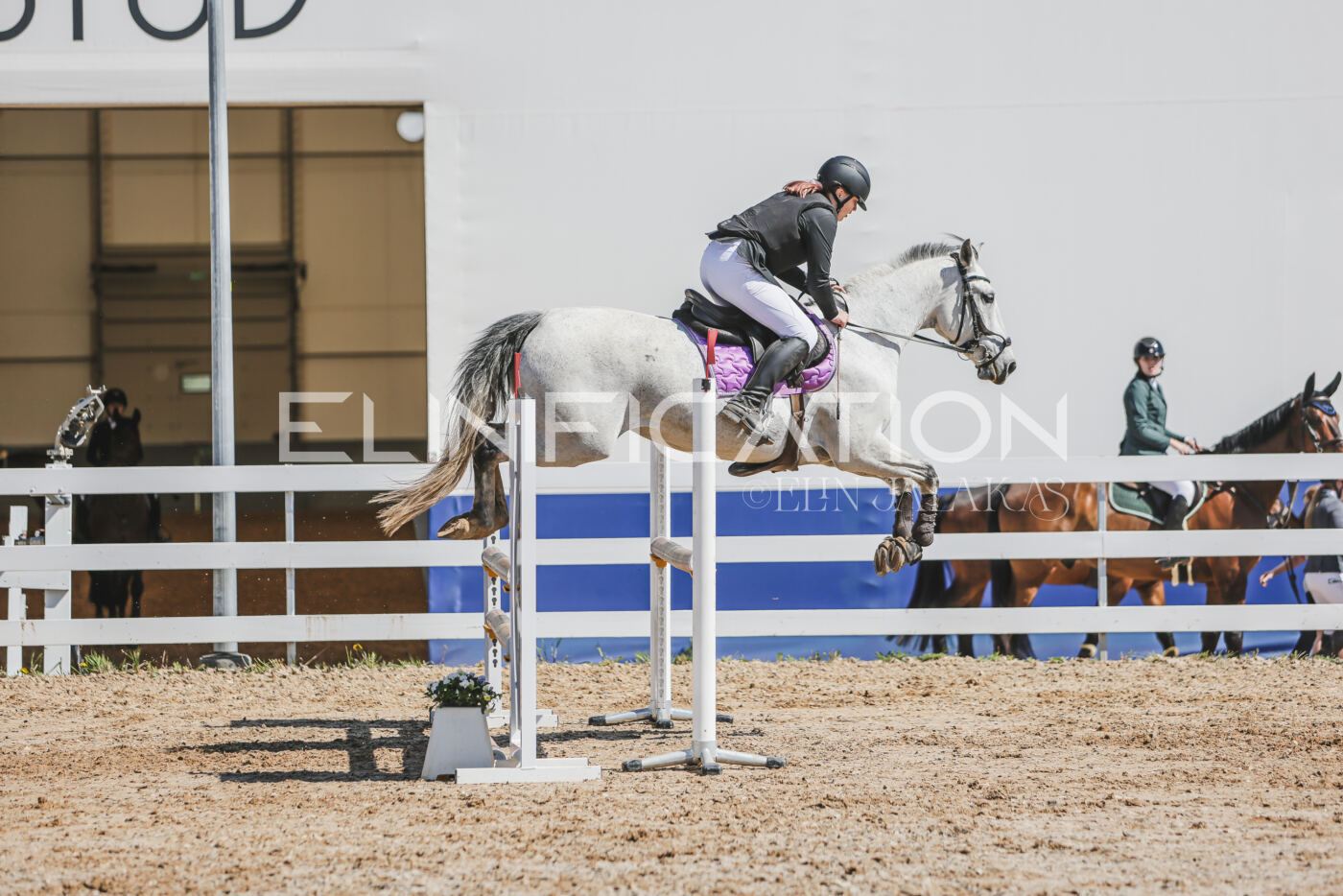 Gramina_Kevad_2026_90_498
