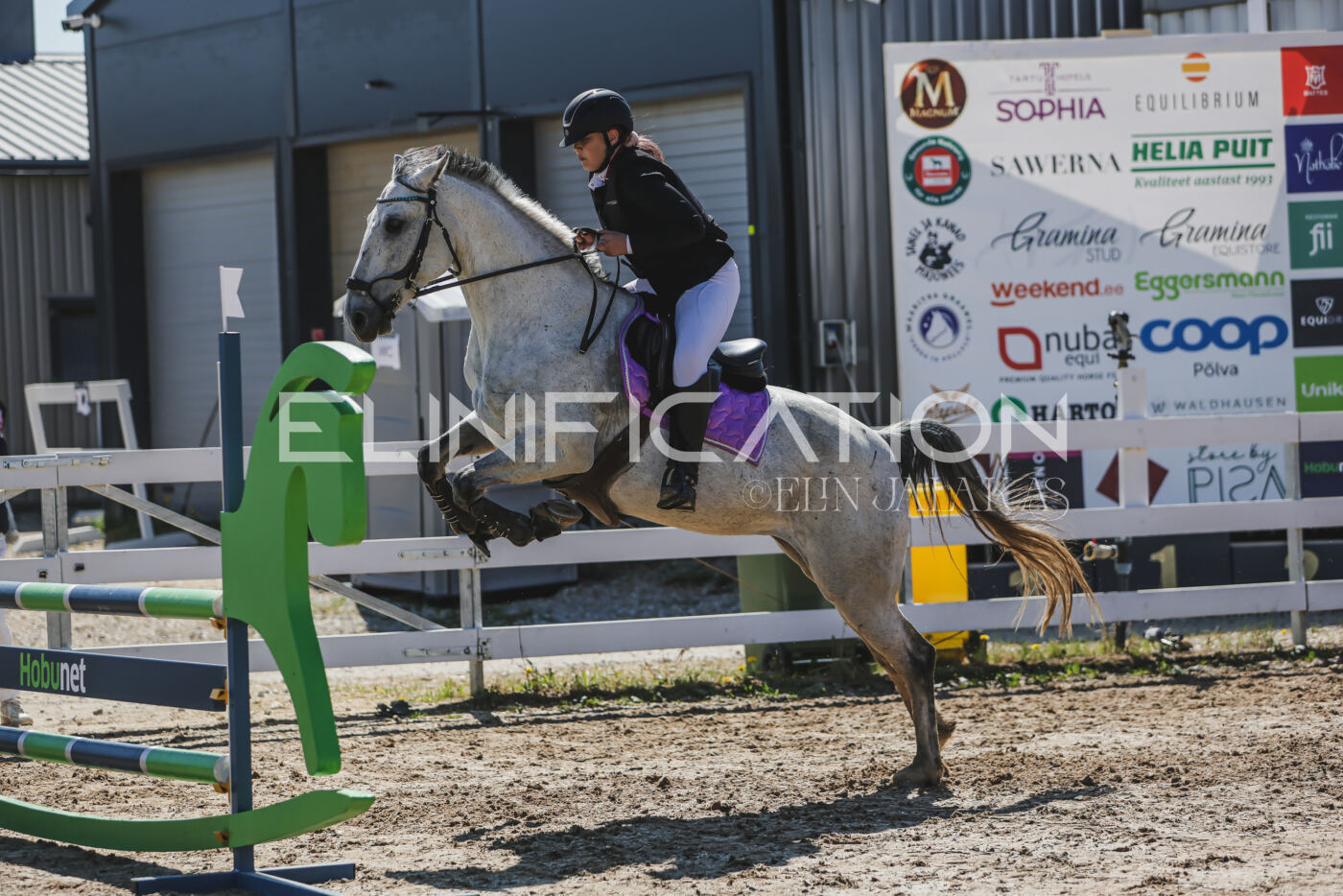 Gramina_Kevad_2026_90_499