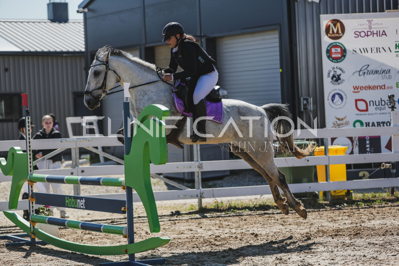 Gramina_Kevad_2026_90_501