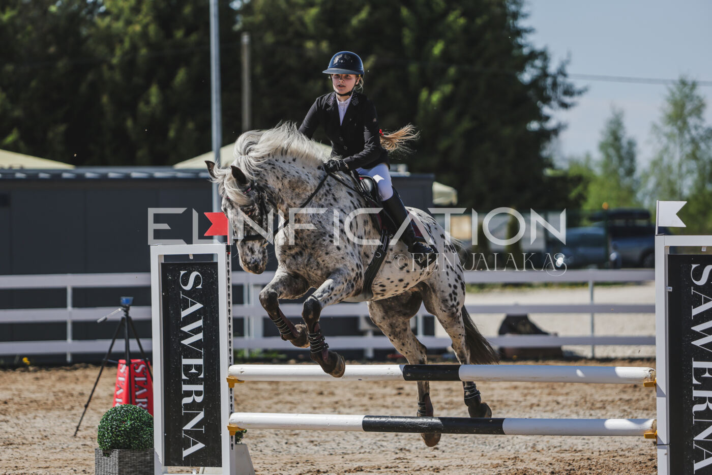 Gramina_Kevad_2026_90_506