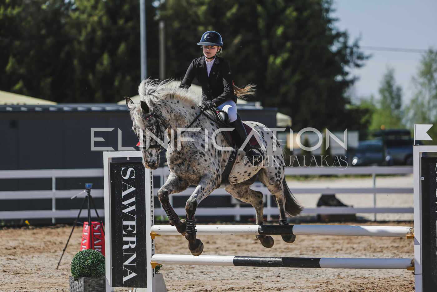 Gramina_Kevad_2026_90_507