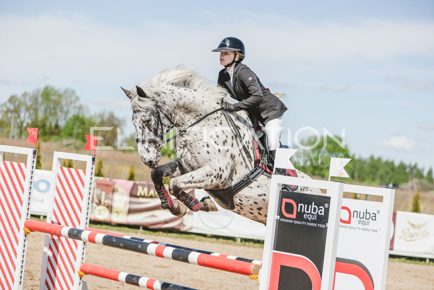Gramina_Kevad_2026_90_508