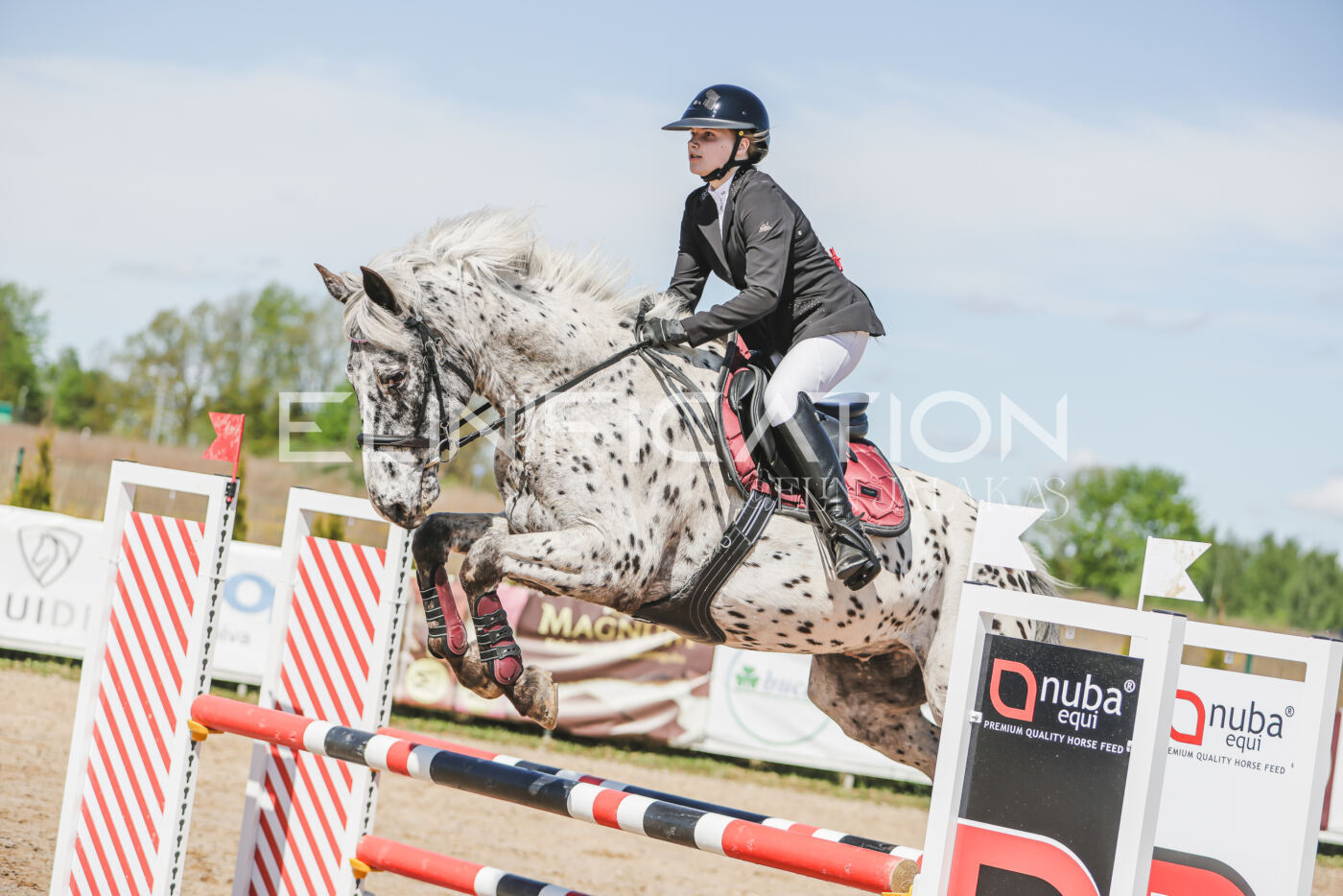 Gramina_Kevad_2026_90_510
