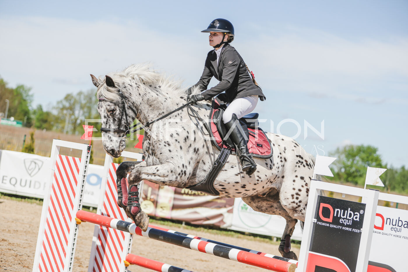 Gramina_Kevad_2026_90_511