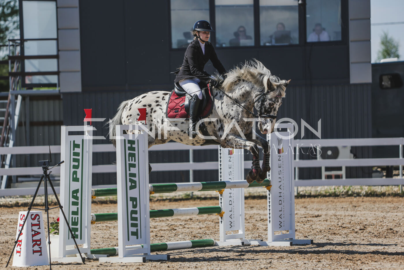 Gramina_Kevad_2026_90_516