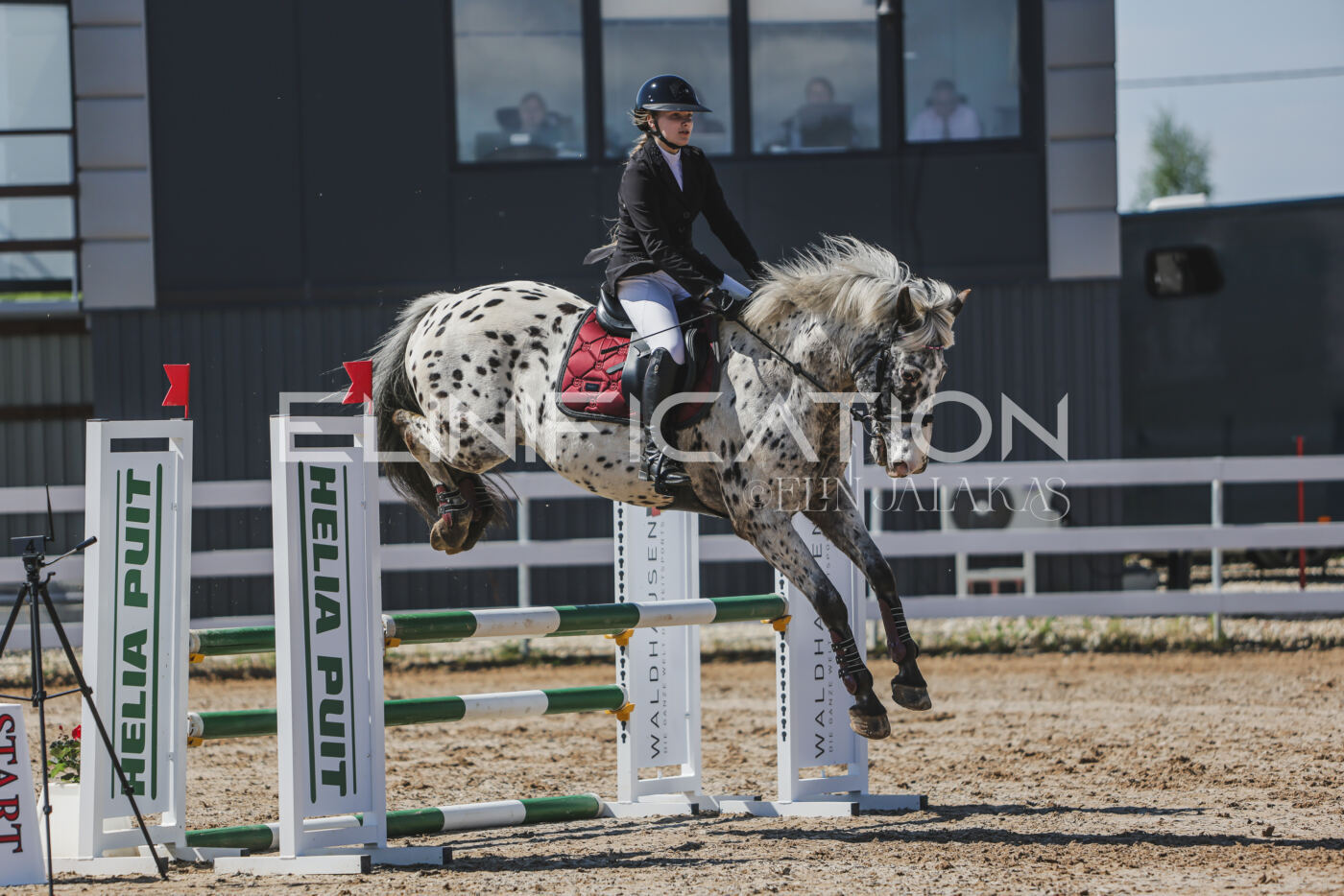 Gramina_Kevad_2026_90_518