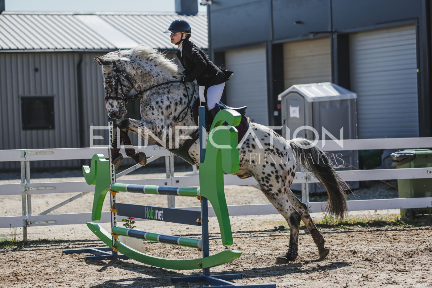 Gramina_Kevad_2026_90_527