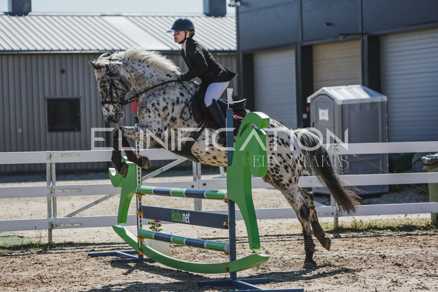 Gramina_Kevad_2026_90_528