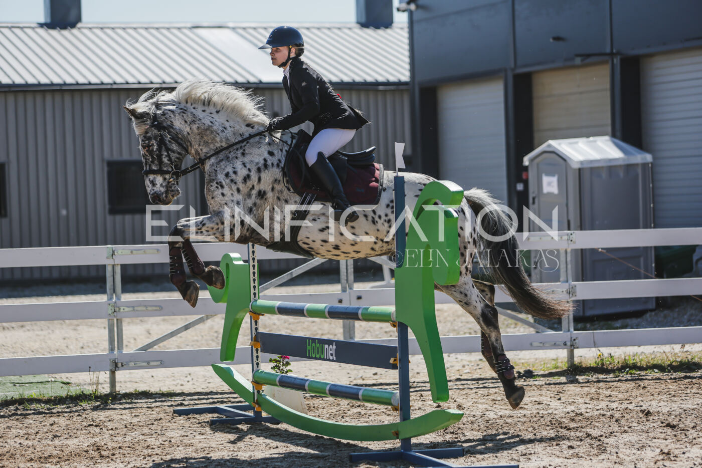 Gramina_Kevad_2026_90_529