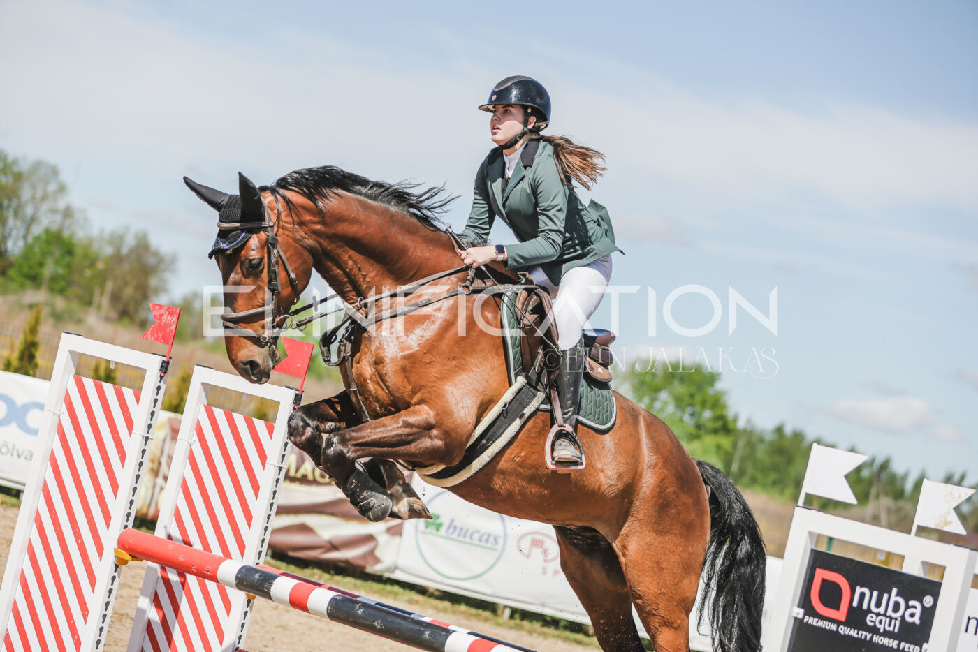 Gramina_Kevad_2026_90_533