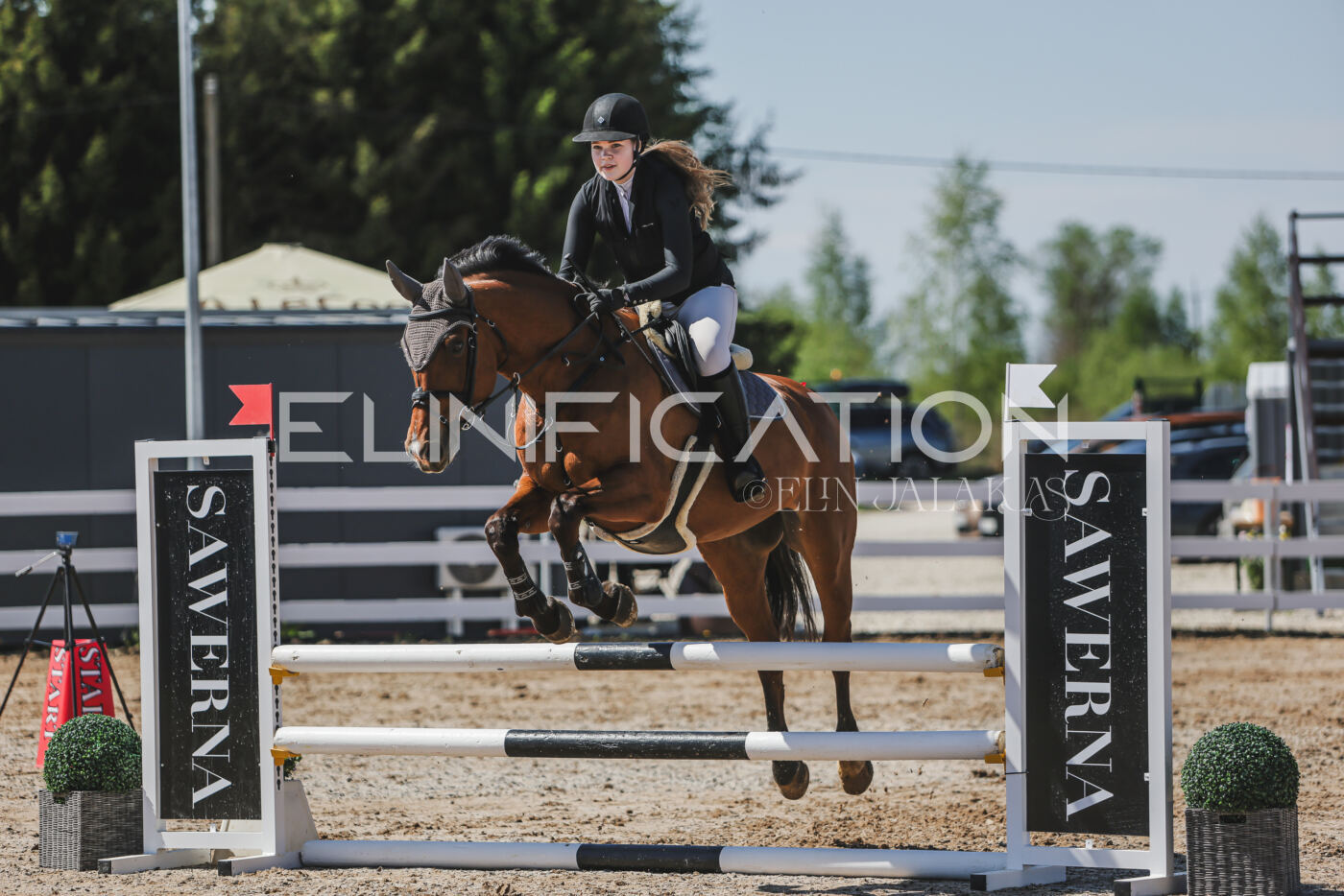 Gramina_Kevad_2026_90_537