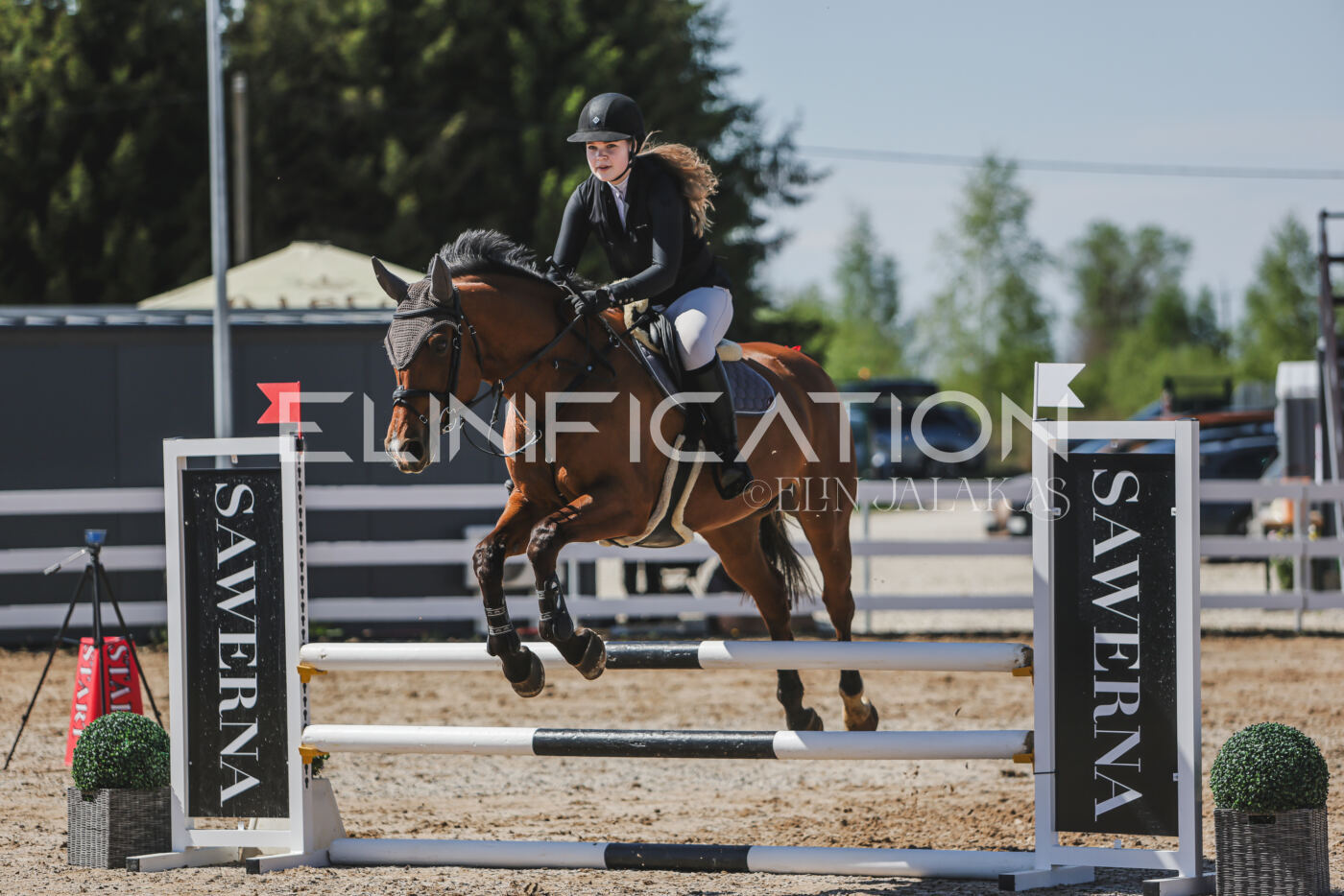 Gramina_Kevad_2026_90_538