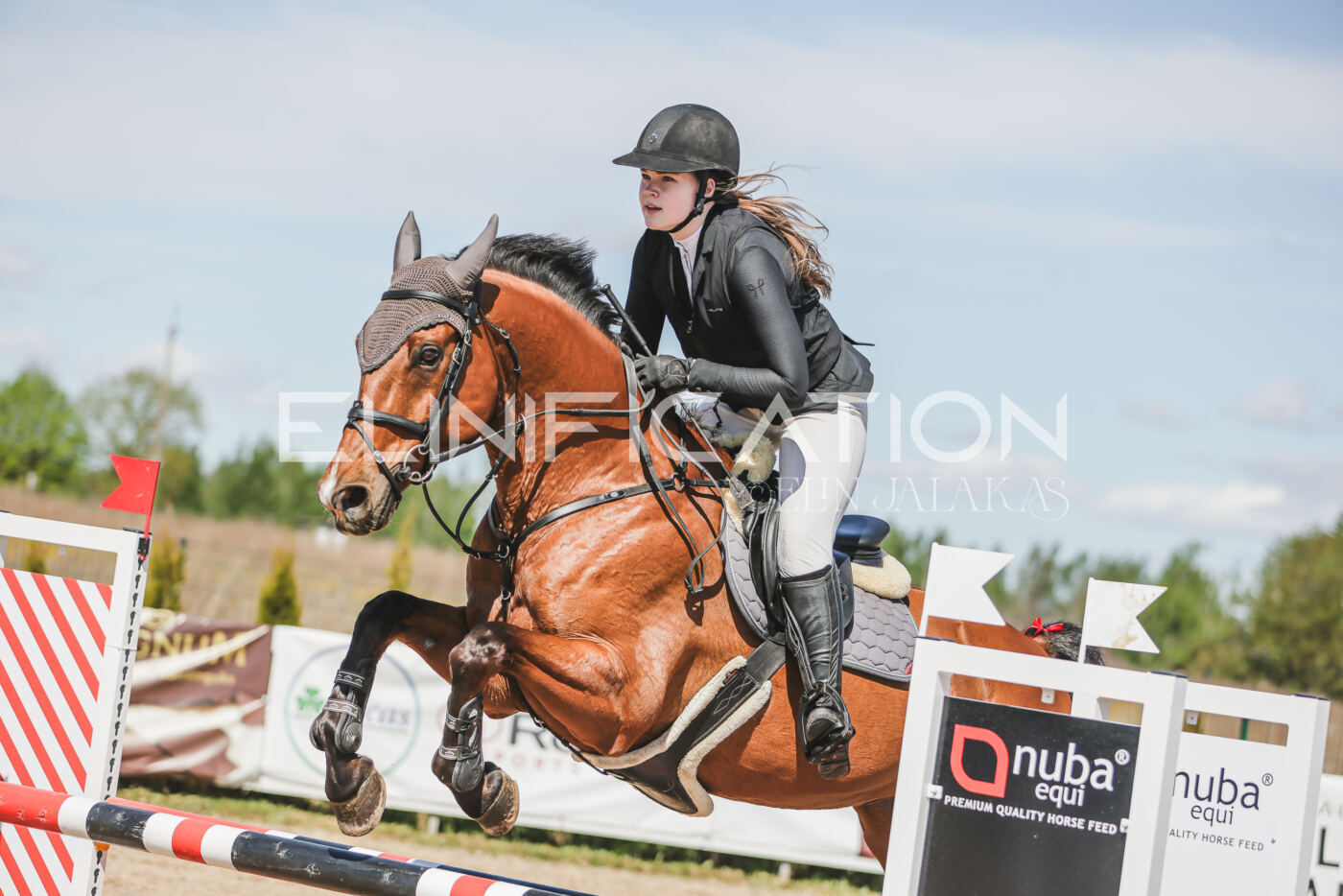 Gramina_Kevad_2026_90_539