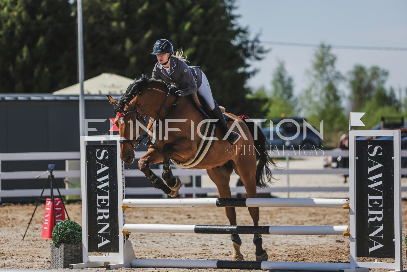Gramina_Kevad_2026_90_543