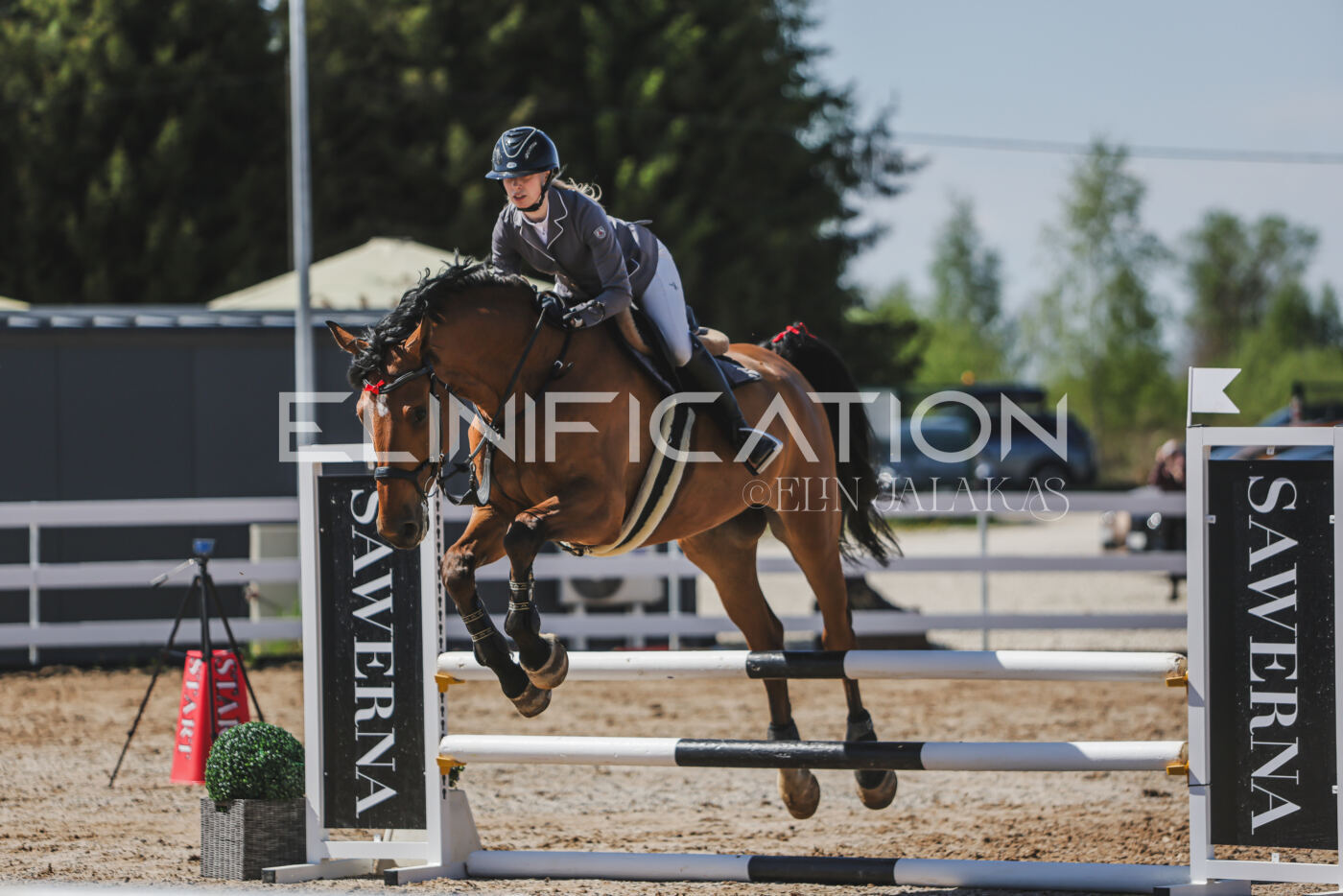 Gramina_Kevad_2026_90_544
