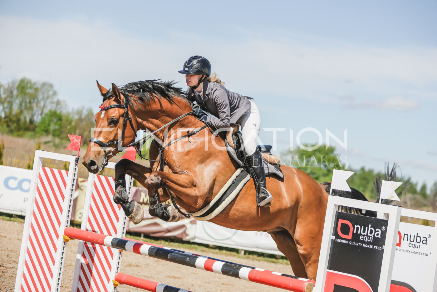 Gramina_Kevad_2026_90_546