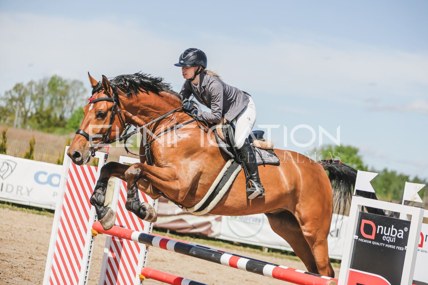 Gramina_Kevad_2026_90_547