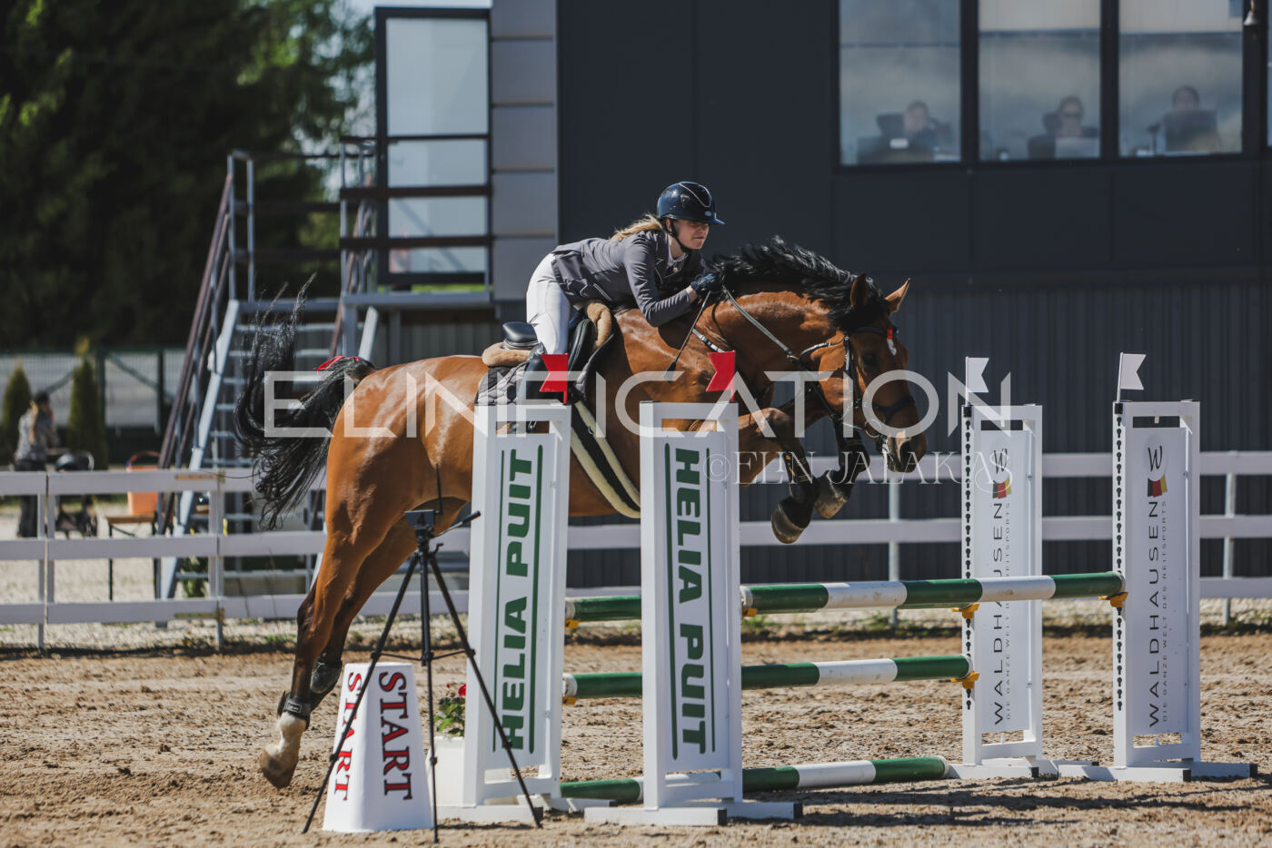 Gramina_Kevad_2026_90_549
